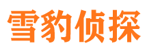 大洼侦探公司